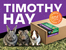 Timothy Hay - Premium 2nd Cutting Small Pet Hay